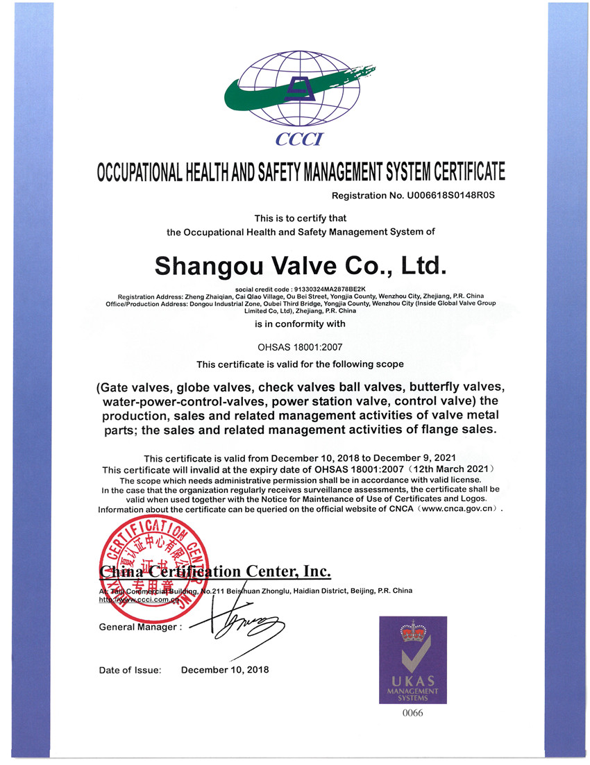 ISO18001 2007ְҵ����������ϵ��֤��Ӣ�ģ�